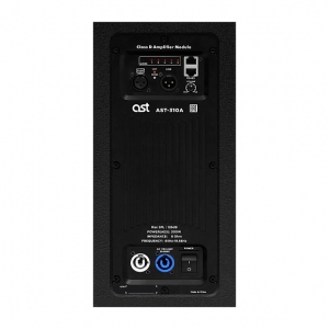 Активная акустическая система AST-310A в Астраханской области